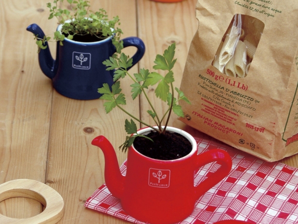 Набор для выращивания мяты и петрушки Petit-coco Чайничек красный