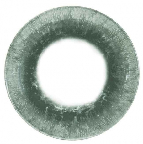 Тарелка обеденная, 26 см. Оракл Грин, Churchill