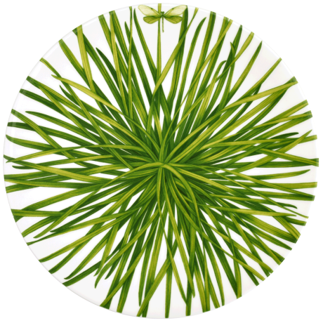 Блюдо сервировочное, 31 см. LIFE IN GREEN Taitu