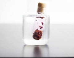 Зварник для чая "пробирка" Infusion™ Viva Scandinavia