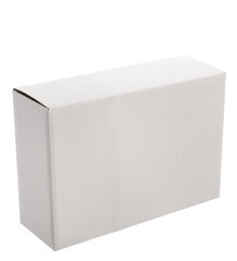 BG-125 Клатч "Клодетт"