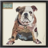 Картина в рамке Dog, коллекция "Собака" 61*61*4, Полистирол, Бумага, Мультиколор