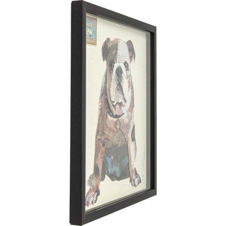 Картина в рамке Dog, коллекция "Собака" 61*61*4, Полистирол, Бумага, Мультиколор