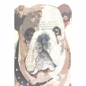 Картина в рамке Dog, коллекция "Собака" 61*61*4, Полистирол, Бумага, Мультиколор