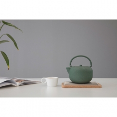 Чайник заварочный, с ситечком 800 мл. зеленый, Saga Viva Scandinavia