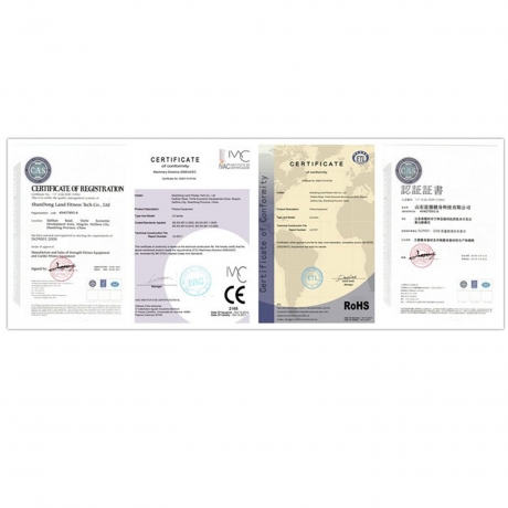 Беговая дорожка DFC LAND Pro T-925B