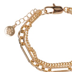 Браслет Double Сarabiner