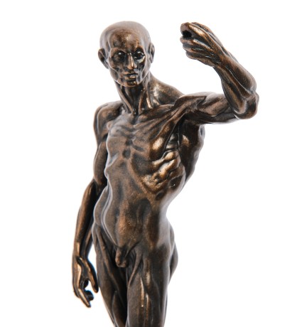 pr-HOU01 Статуэтка (Anatomical Study.Parastone)