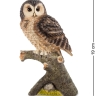 WS-711 Статуэтка "Сова"