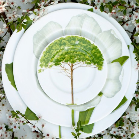 Тарелка обеденная Flower, 27 см. цвет: белый, FREEDOM Taitu