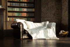 Одеяло CAMEL WOOL GRASS всесезонное 220х240