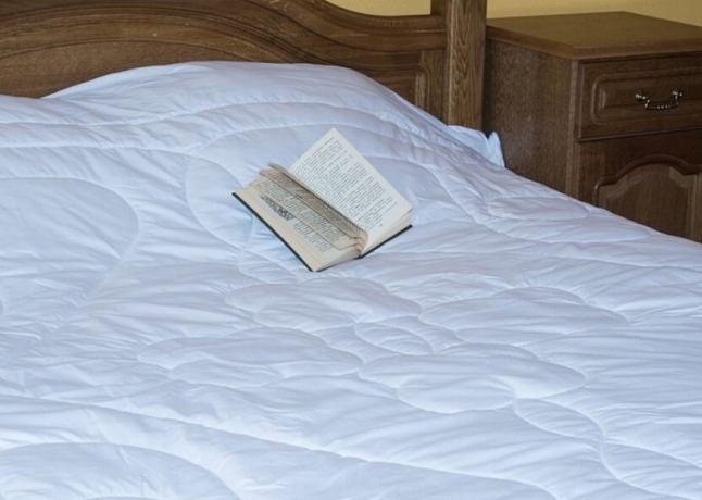 Одеяло всесезонное с бамбуком "Бамбуковая фантазия", 200х220 см. из микрофибры, Natures