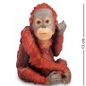 WS-798 Статуэтка "Детеныш орангутанга"