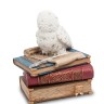 WS-720 Шкатулка "Сова на книгах"