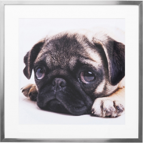 Картина в рамке Mops, коллекция "Мопсы" 65*65*3, Бумага, Стекло, Полирезин, Мультиколор