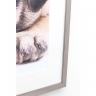Картина в рамке Mops, коллекция "Мопсы" 65*65*3, Бумага, Стекло, Полирезин, Мультиколор