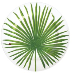 Блюдо сервировочное Leaf, 31,5 см. FREEDOM Taitu