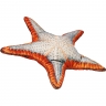 Подушка Starfish, 65х65х12, Полиэстер, Мультиколор