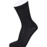 Носки мужские Master ASM-0007 41-44 черный (Artsocks)
