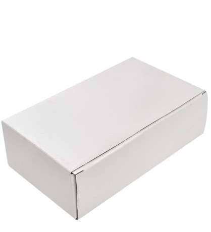 HB-123 "Банкнота 100 Zlt (злотых) Польша"