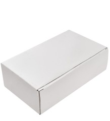 HB-123 "Банкнота 100 Zlt (злотых) Польша"