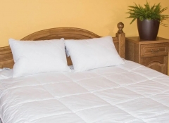 Одеяло всесезонное с бамбуком в чехле из хлопка "Стебель бамбука", 200х220 см. Natures