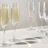 Набор бокалов для шампанского Cosmopolitan, 0,16 л. 6 шт. Maxwell & Williams