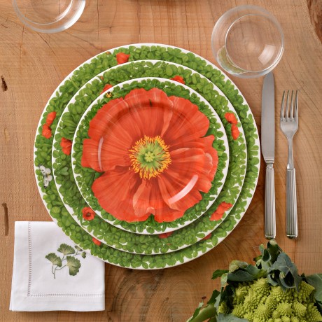 Тарелка обеденная Front view, 27 см. цвет: красный, PRATI ITALIANI Taitu