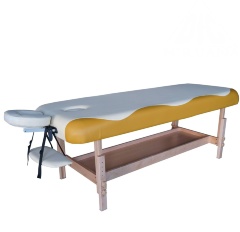 Массажный стол DFC SUPERIOR TS100