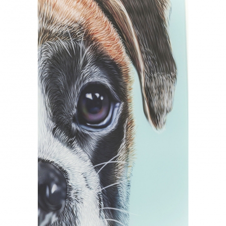 Картина Dog Face, коллекция "Собачья Морда" 60*60*1, Стекло, Полипропилен, Мультиколор