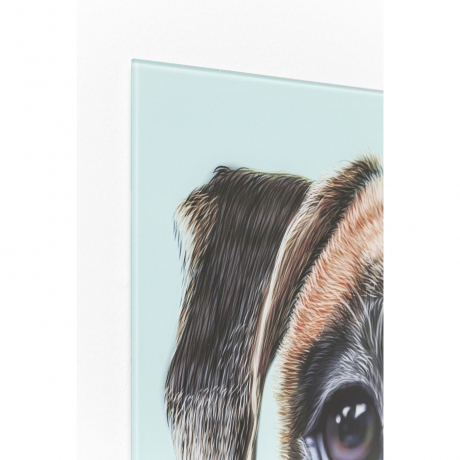 Картина Dog Face, коллекция "Собачья Морда" 60*60*1, Стекло, Полипропилен, Мультиколор