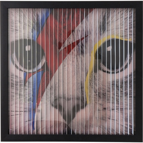 Картина в рамке Cat, коллекция "Кошка" 43*43*4, Бумага, Стекло, Полистирол, МДФ, Мультиколор