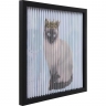Картина в рамке Cat, коллекция "Кошка" 43*43*4, Бумага, Стекло, Полистирол, МДФ, Мультиколор