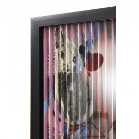 Картина в рамке Cat, коллекция "Кошка" 43*43*4, Бумага, Стекло, Полистирол, МДФ, Мультиколор