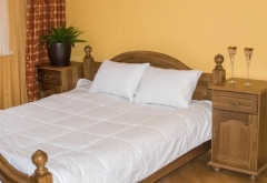 Одеяло всесезонное с бамбуком в чехле из хлопка "Стебель бамбука", 220х240 см. Natures