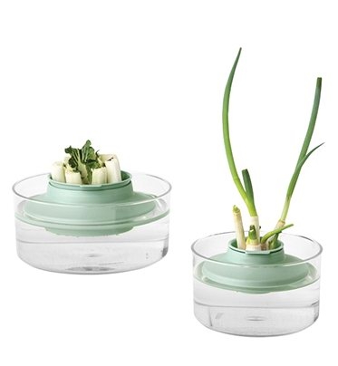 Набор для повторного выращивания зелени Brabantia