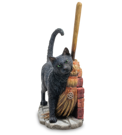 WS-841 Статуэтка "Кот с метлой" (Лиза Паркер)