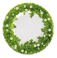 Тарелка обеденная Front view, 27 см. цвет: белый, PRATI ITALIANI Taitu