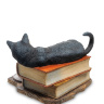 WS-843 Статуэтка "Кот на книгах" (Лиза Паркер)