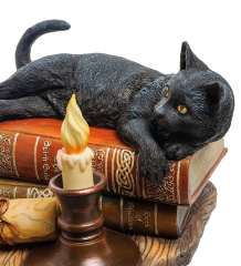 WS-843 Статуэтка "Кот на книгах" (Лиза Паркер)