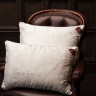 Подушка FLY SILK GRASS средняя 50х68
