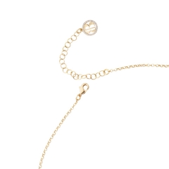 Колье с кулоном Caleida Brown XGR563DO BR/G