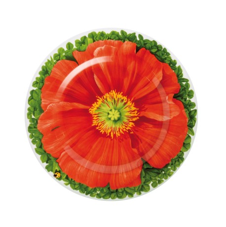 Тарелка десертная Macro photography, 21,5 см. цвет: красный, PRATI ITALIANI Taitu