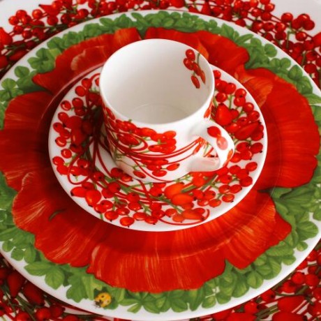 Тарелка десертная Macro photography, 21,5 см. цвет: красный, PRATI ITALIANI Taitu