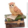 WS-719 Шкатулка "Сова на книгах"