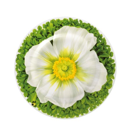 Тарелка десертная Macro photography, 21,5 см. цвет: белый, PRATI ITALIANI Taitu