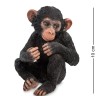 WS-767 Статуэтка "Детеныш шимпанзе"