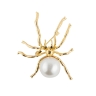 Брошь Паук XZ2108.1 BW/G Shadore