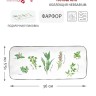 Блюдо прямоугольное, 36 см. Herbarium Easy Life