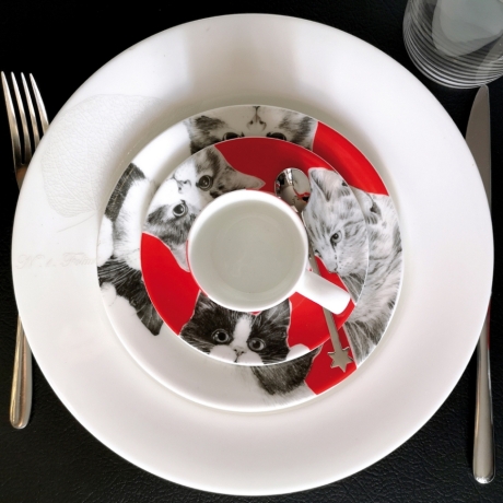 Чашка с блюдцем кофейная CATS, 100 мл. BEST FRIENDS Taitu